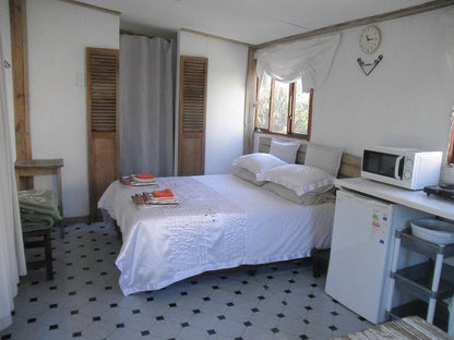 Erf 473 Fisherhaven Fisherhaven Hermanus Western Cape South Africa Bedroom