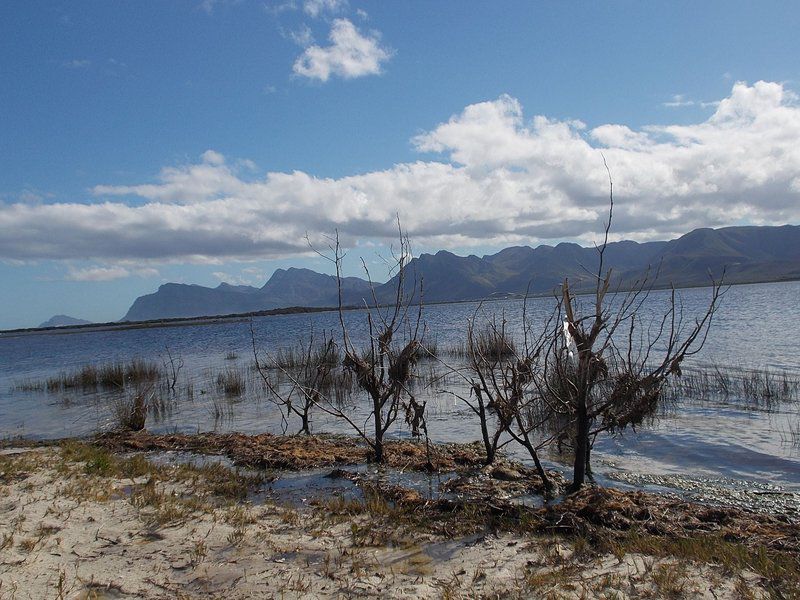 Erf 473 Fisherhaven Fisherhaven Hermanus Western Cape South Africa Lake, Nature, Waters