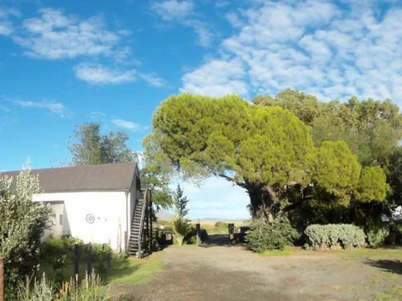 Erin Farmhouse And Cottages Middelburg Eastern Cape Eastern Cape South Africa Complementary Colors, Nature