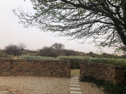 Erin Farmhouse And Cottages Middelburg Eastern Cape Eastern Cape South Africa Ruin, Architecture, Framing, Garden, Nature, Plant