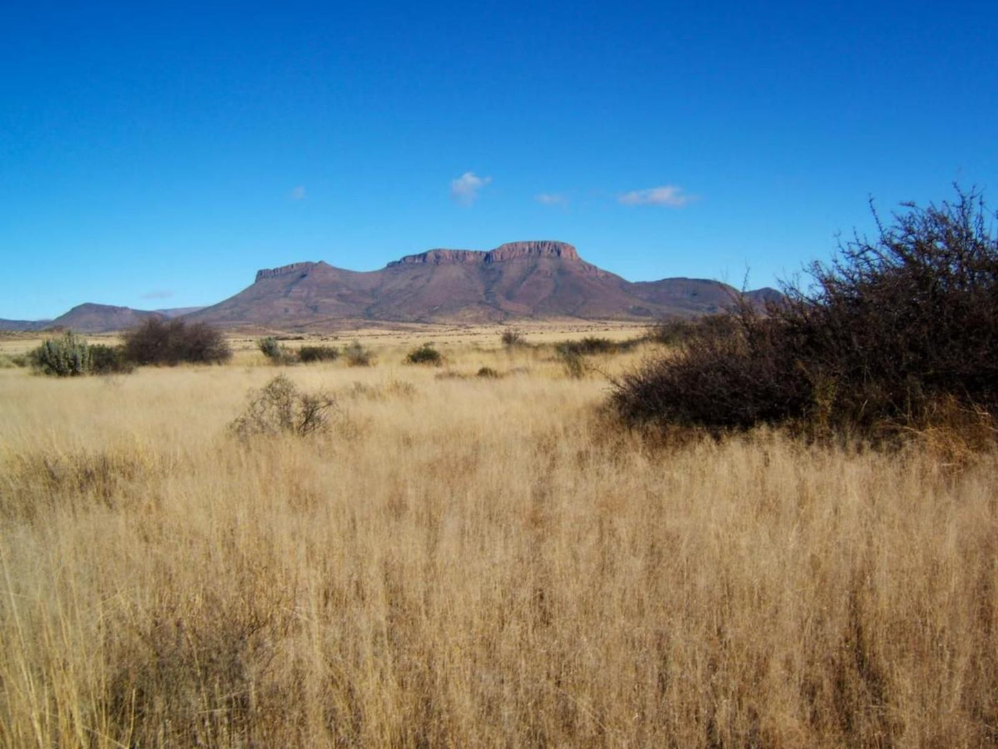 Erin Farmhouse And Cottages Middelburg Eastern Cape Eastern Cape South Africa Complementary Colors, Desert, Nature, Sand