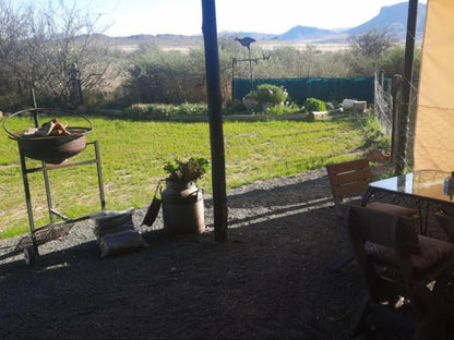 Erin Farmhouse And Cottages Middelburg Eastern Cape Eastern Cape South Africa Cactus, Plant, Nature