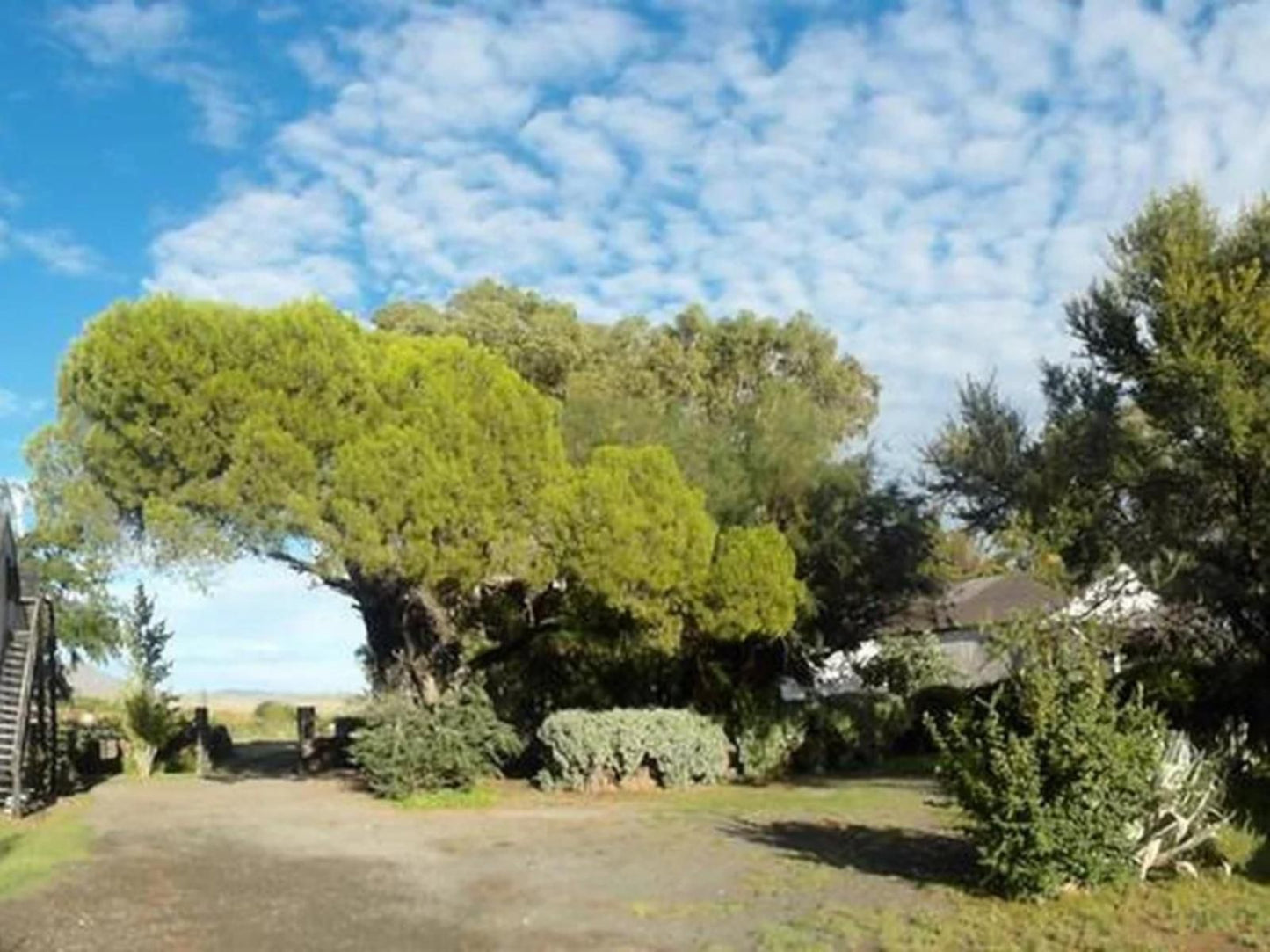 Erin Farmhouse And Cottages Middelburg Eastern Cape Eastern Cape South Africa Complementary Colors, Plant, Nature, Tree, Wood, Garden