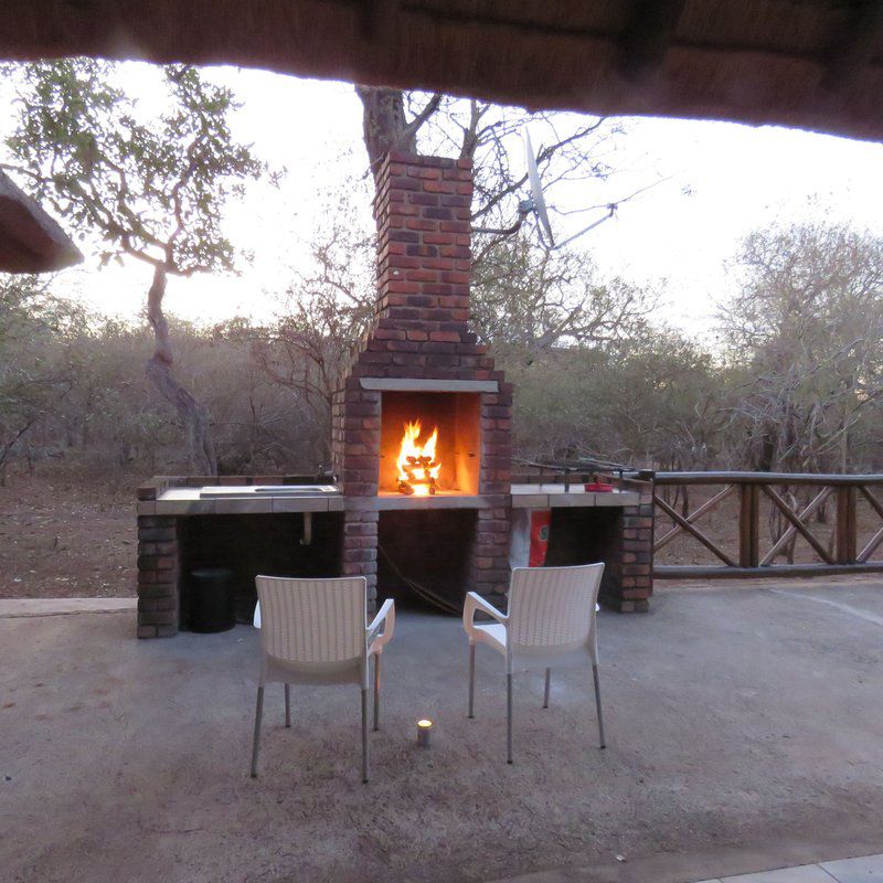 Escape Butterfly Marloth Park Mpumalanga South Africa Unsaturated, Fire, Nature, Fireplace