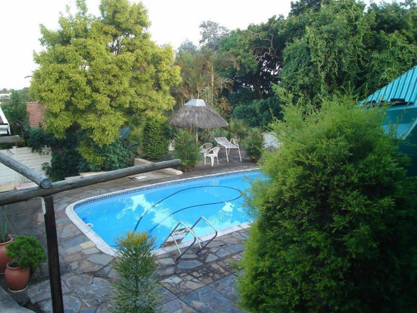 Escombe Accommodation B And B Queensburgh Durban Kwazulu Natal South Africa Garden, Nature, Plant, Swimming Pool