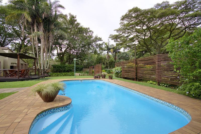 Eshowe Guesthouse Eshowe Kwazulu Natal South Africa Complementary Colors, Palm Tree, Plant, Nature, Wood, Garden, Swimming Pool