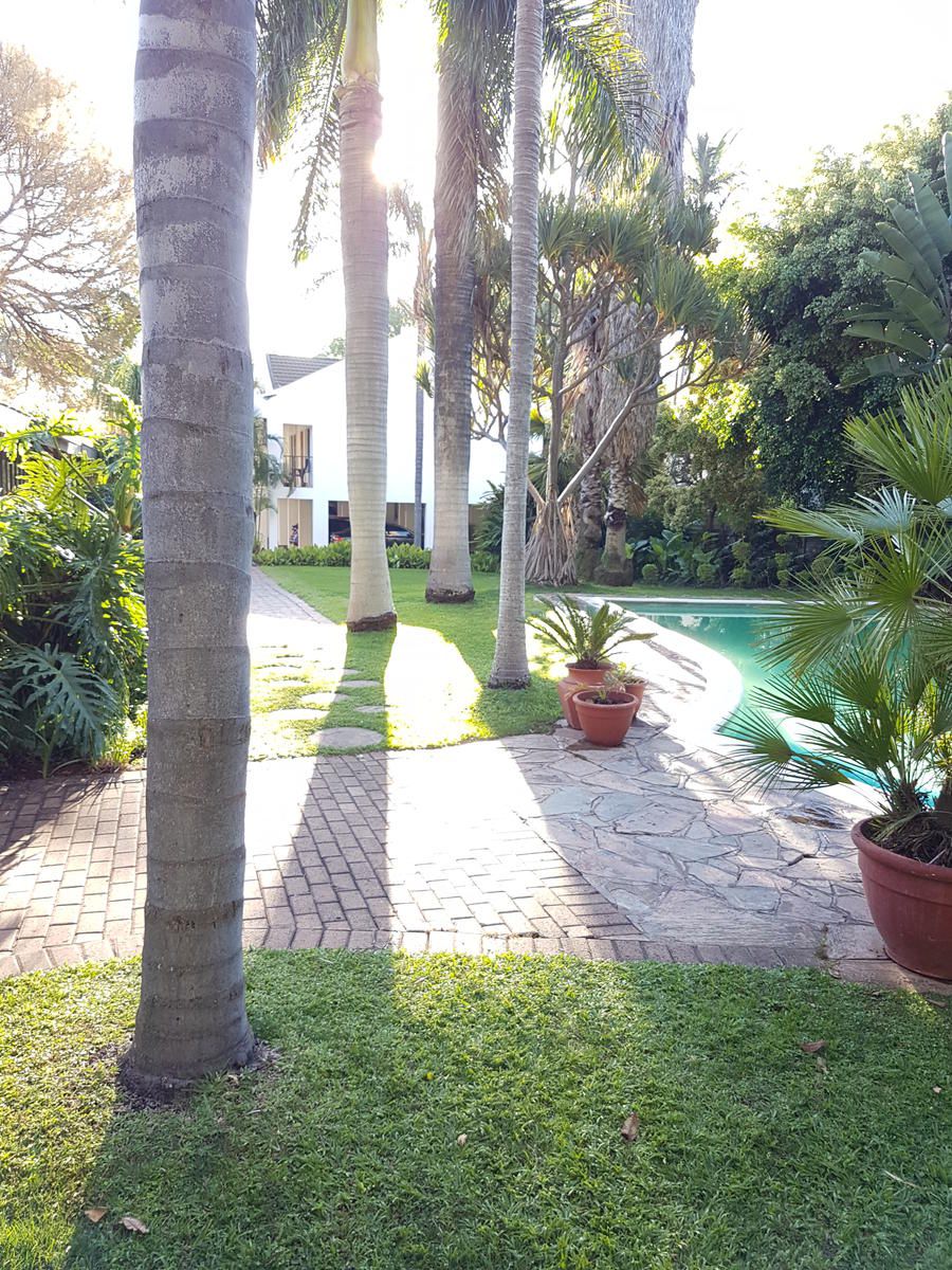 Eskulaap Hotel Polokwane Pietersburg Limpopo Province South Africa House, Building, Architecture, Palm Tree, Plant, Nature, Wood, Garden, Swimming Pool