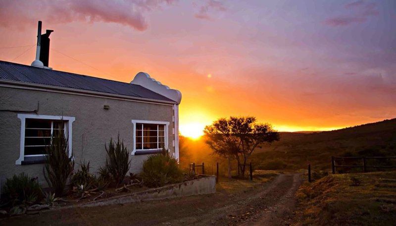 Esperant Private Game Reserve Middleton Eastern Cape South Africa Sky, Nature, Framing, Sunset