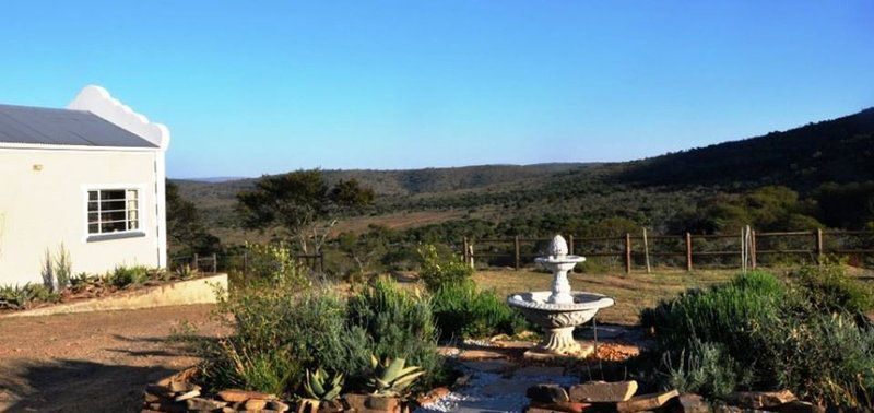 Esperant Private Game Reserve Middleton Eastern Cape South Africa Complementary Colors, Nature