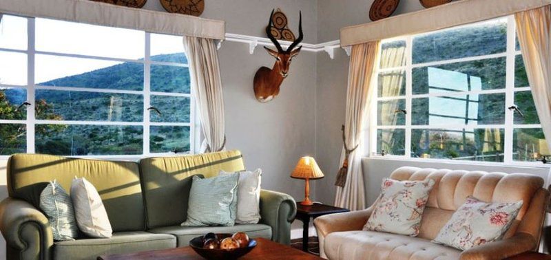 Esperant Private Game Reserve Middleton Eastern Cape South Africa Living Room