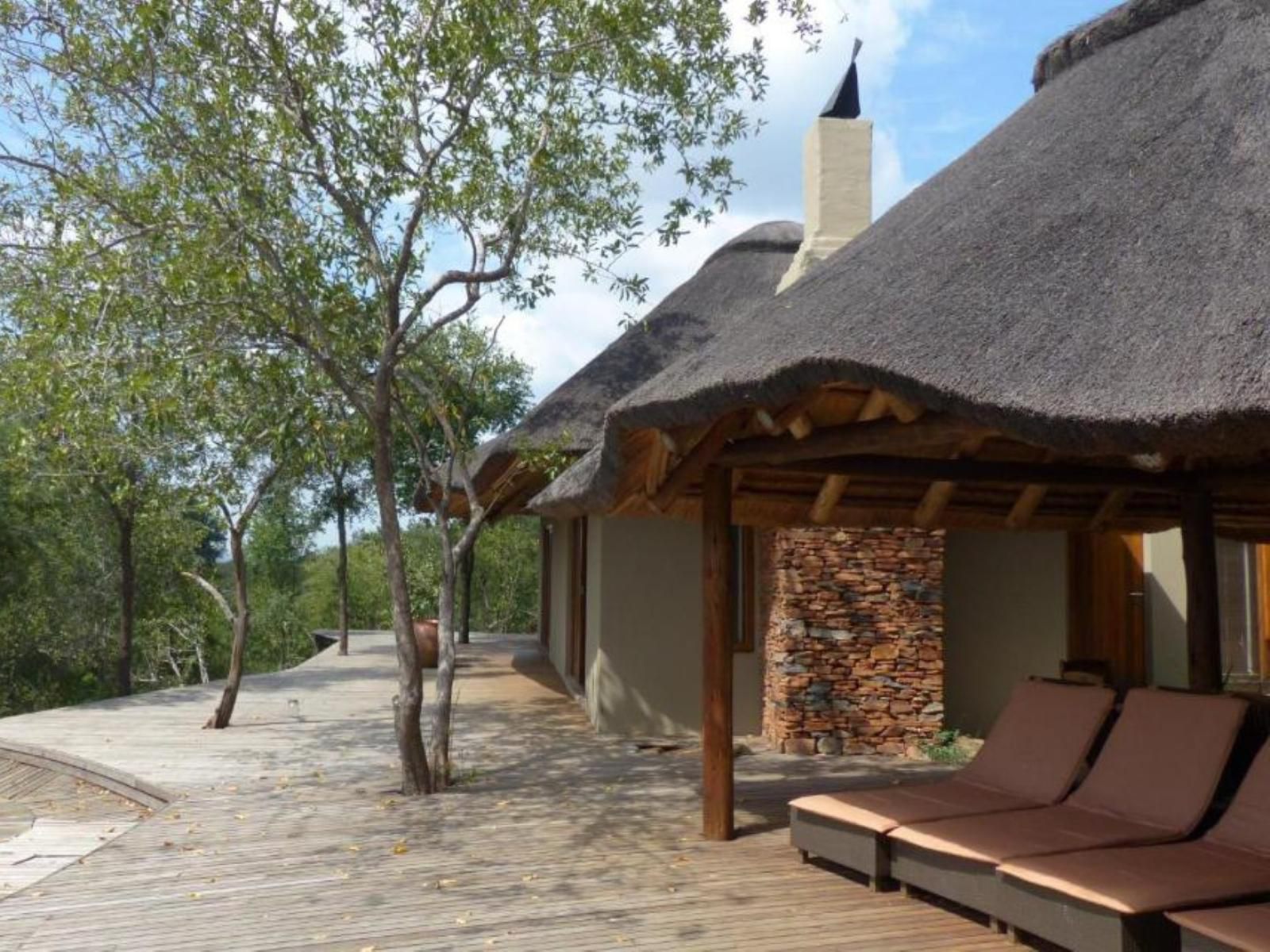 Etali Safari Lodge Madikwe Game Reserve North West Province South Africa 