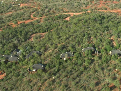 Etali Safari Lodge Madikwe Game Reserve North West Province South Africa Forest, Nature, Plant, Tree, Wood, Aerial Photography