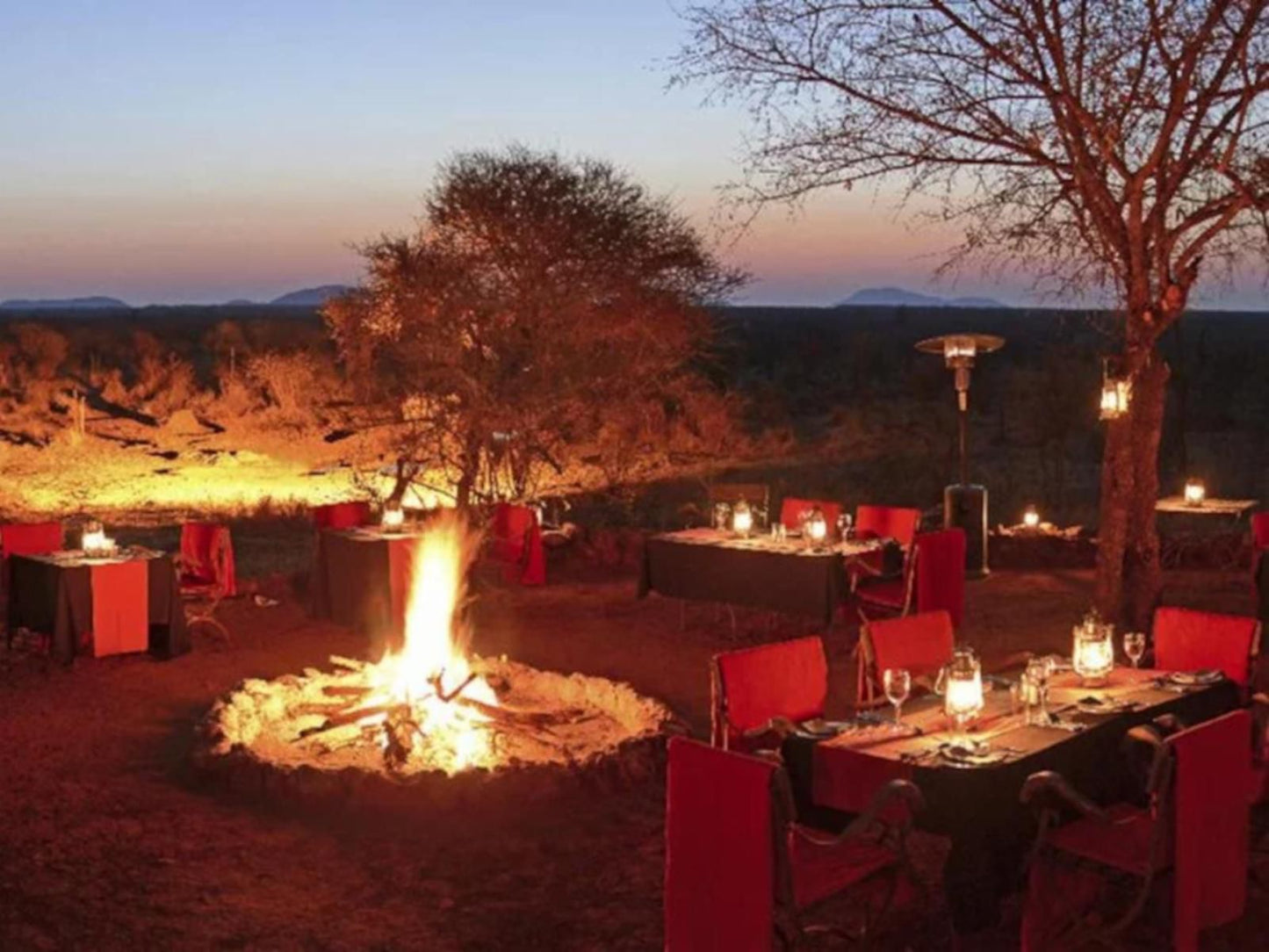 Etali Safari Lodge Madikwe Game Reserve North West Province South Africa 