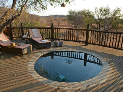 Etali Safari Lodge Madikwe Game Reserve North West Province South Africa Swimming Pool