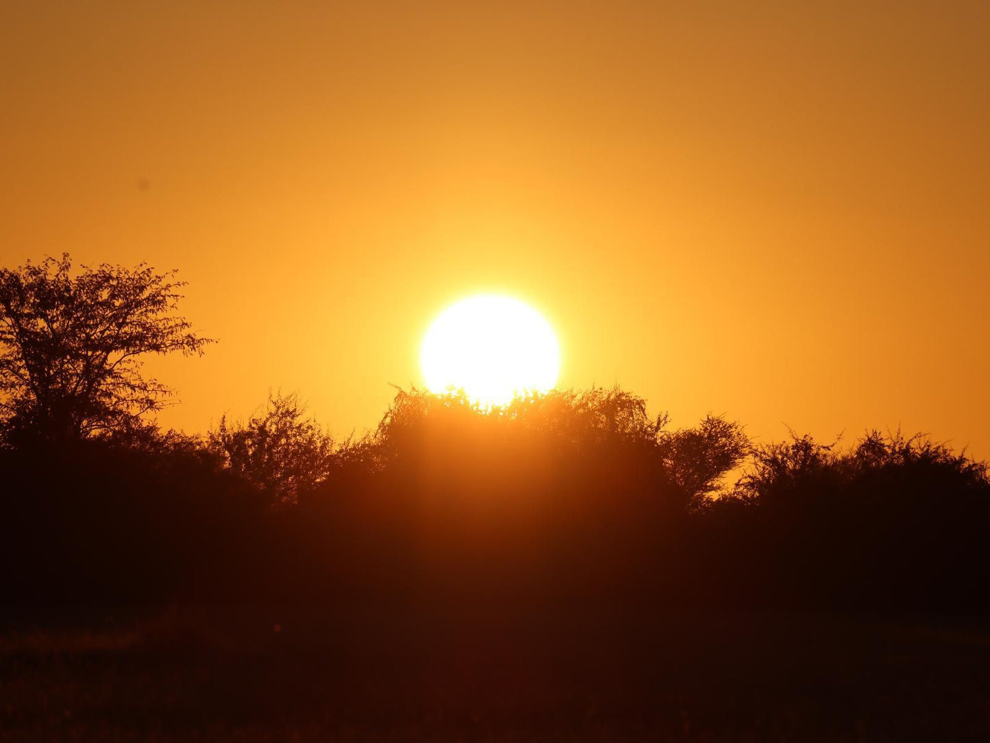 Etosha Mopane Safari Lodge, Colorful, Sky, Nature, Sunset