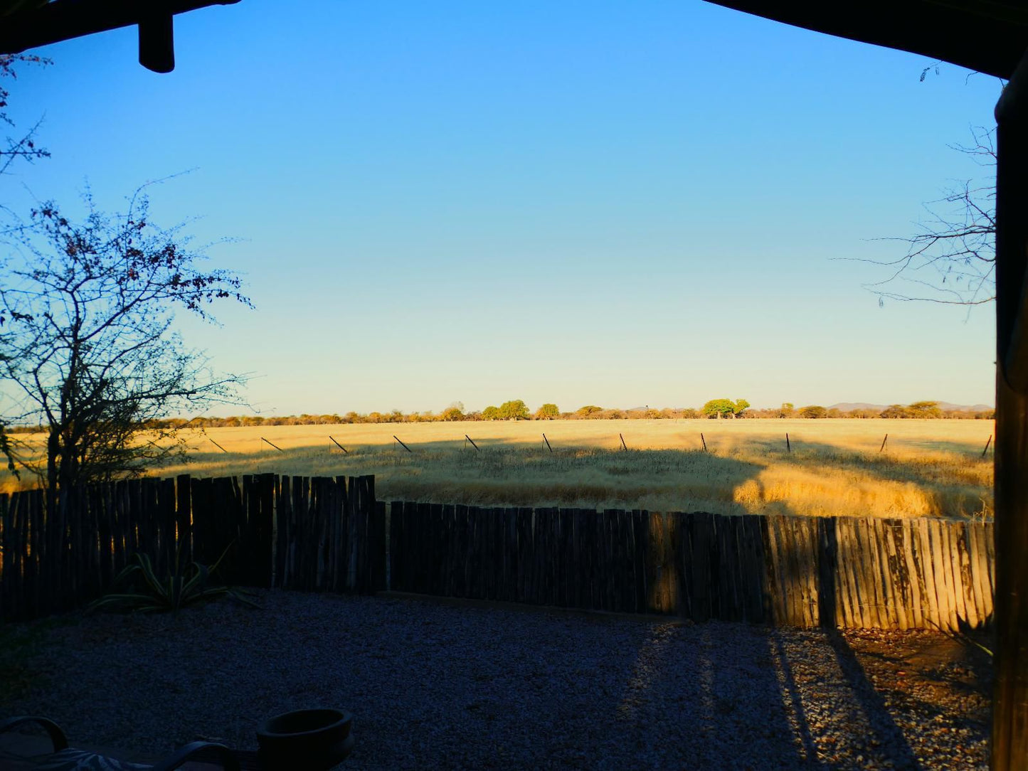 Etosha Mopane Safari Lodge, Queens View Grand Deluxe, Lowland, Nature