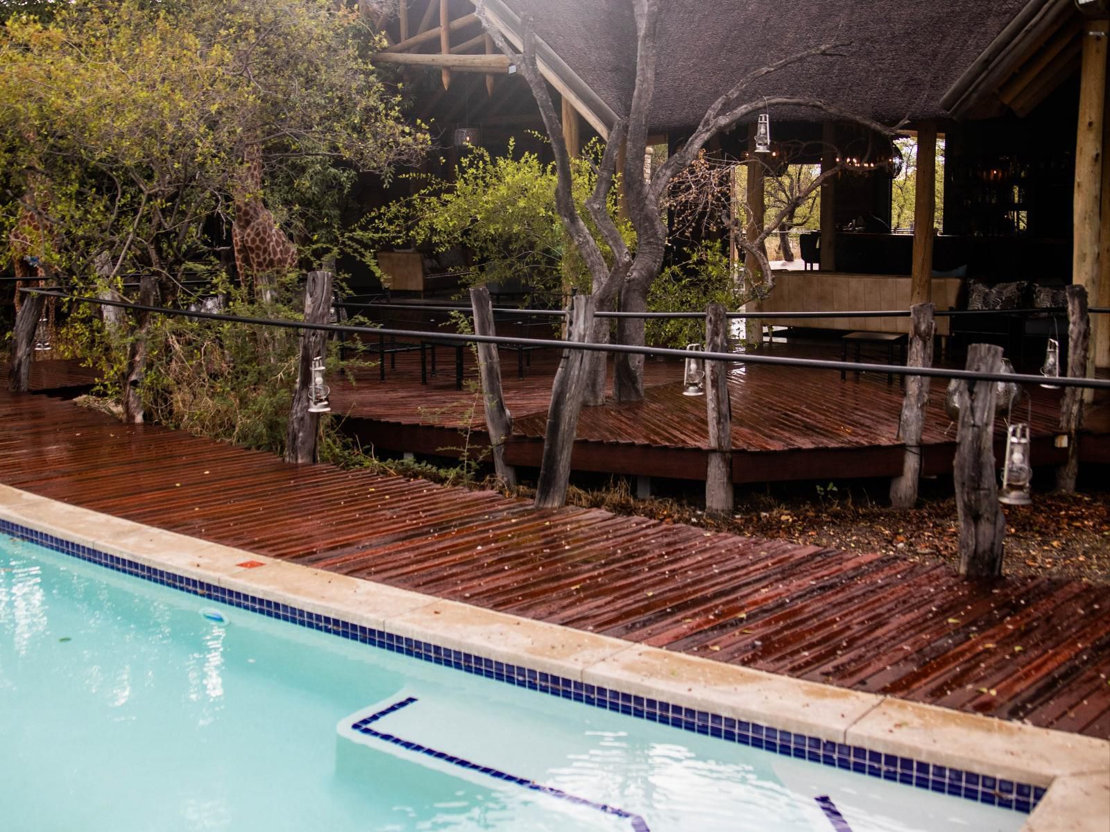 Etosha Oberland Lodge, Swimming Pool