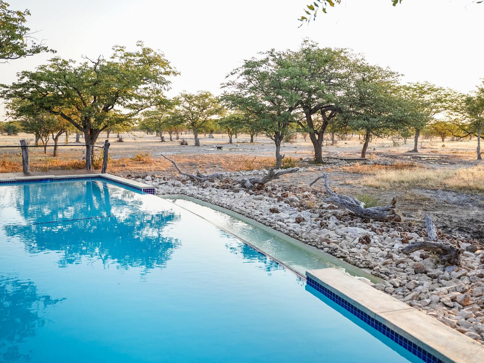 Etosha Oberland Lodge, Swimming Pool