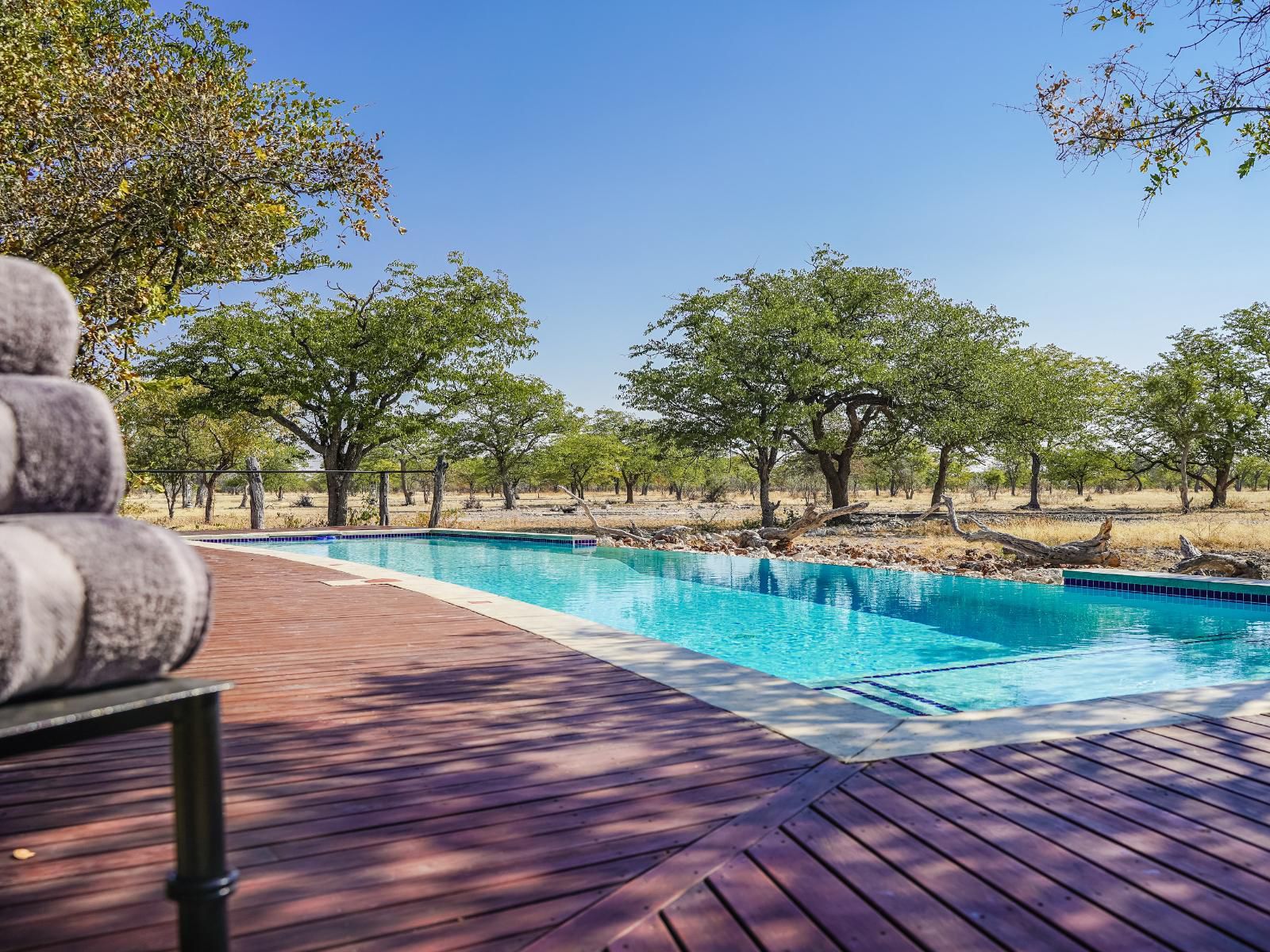 Etosha Oberland Lodge, Swimming Pool