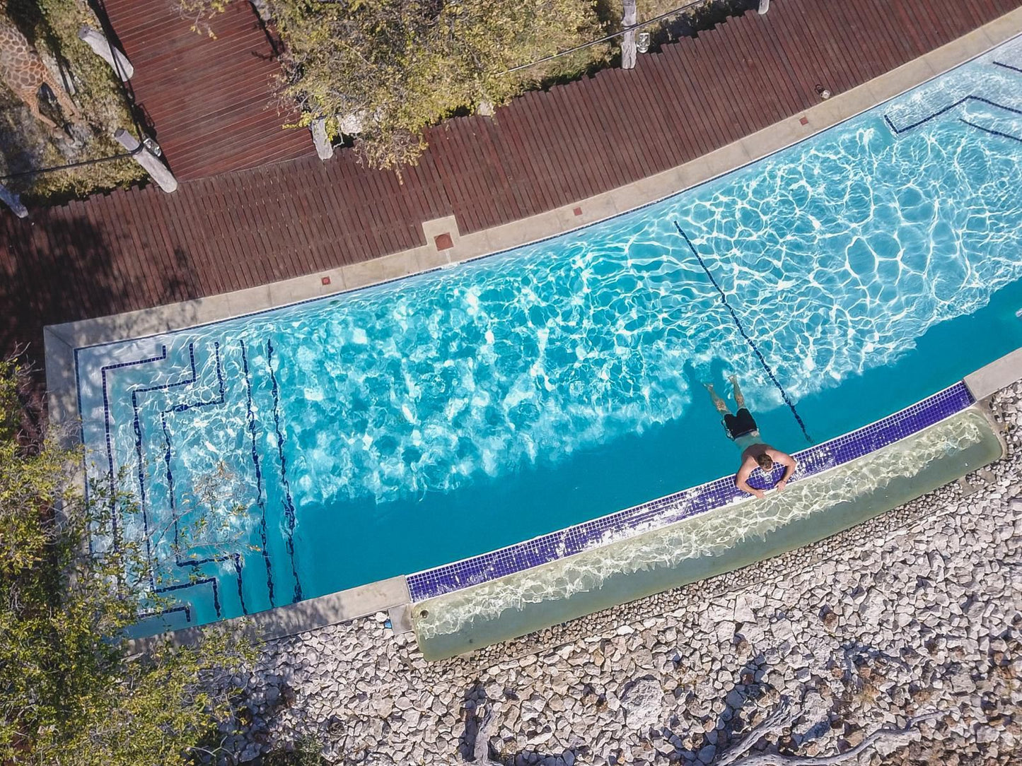 Etosha Oberland Lodge, Sport, Swimming, Water Sport, Person, Swimming Pool