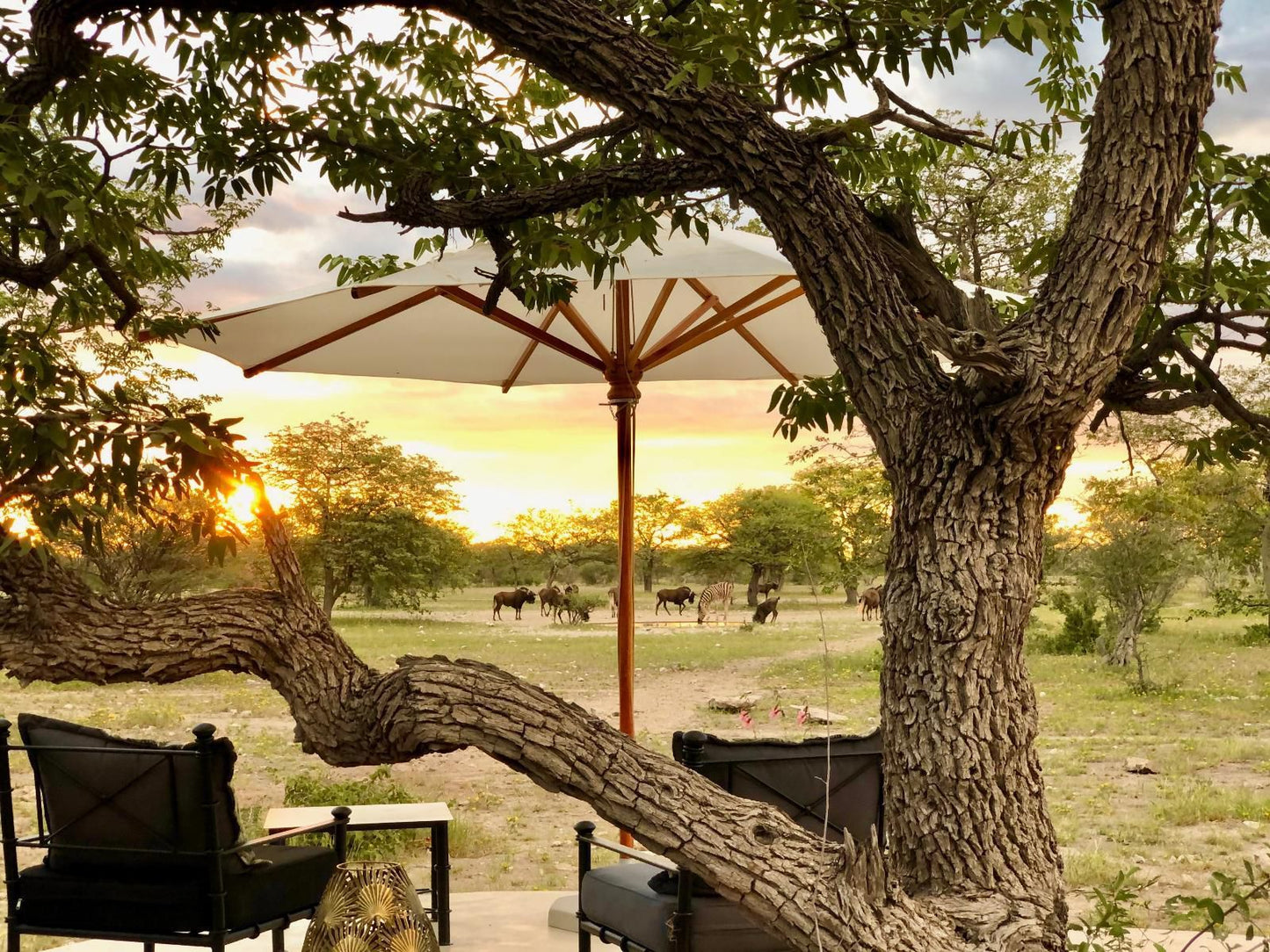 Etosha Oberland Lodge