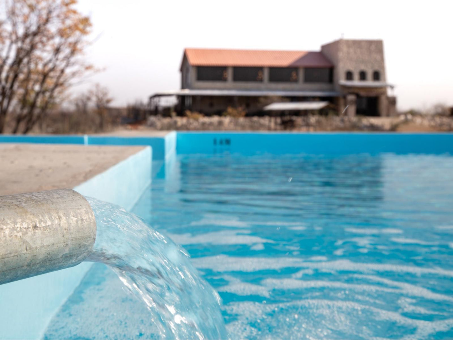 Etosha Trading Post, Swimming Pool