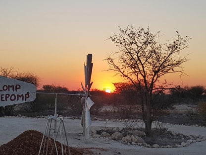 Etosha Trading Post, Group Campsites, Cactus, Plant, Nature, Sky, Sunset