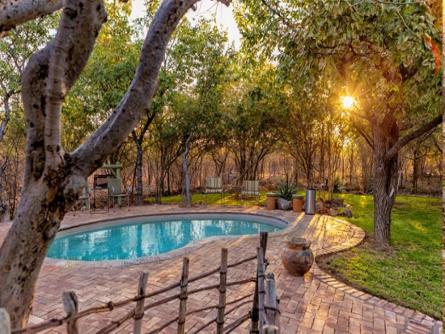 Etosha Village, Garden, Nature, Plant, Swimming Pool