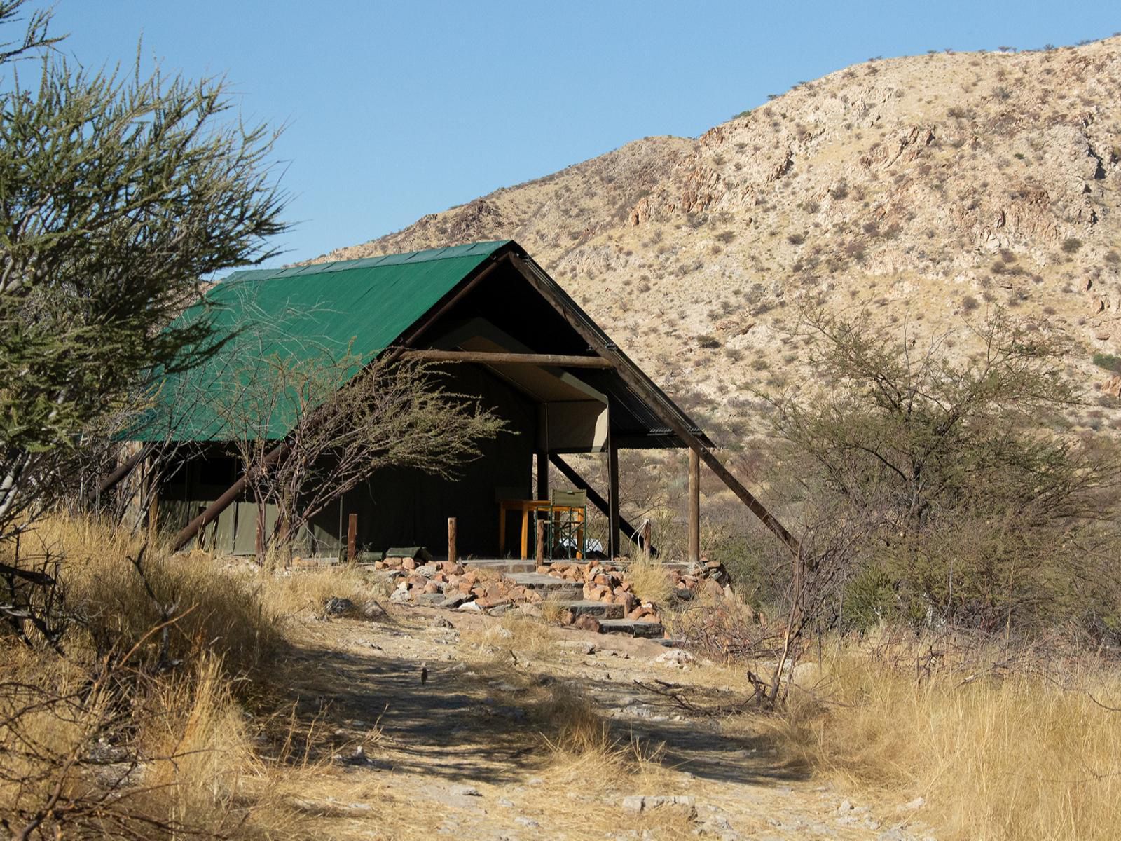 Etusis Lodge, Campsite, Cactus, Plant, Nature, Desert, Sand