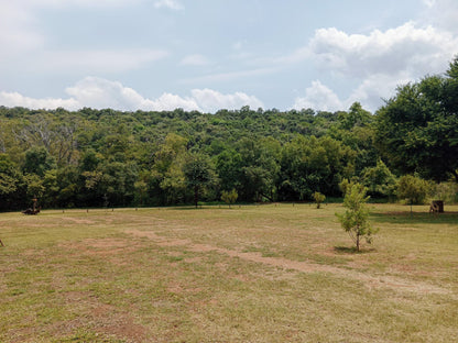 Evergreen River Guest Farm Groot Marico Groot Marico North West Province South Africa Forest, Nature, Plant, Tree, Wood