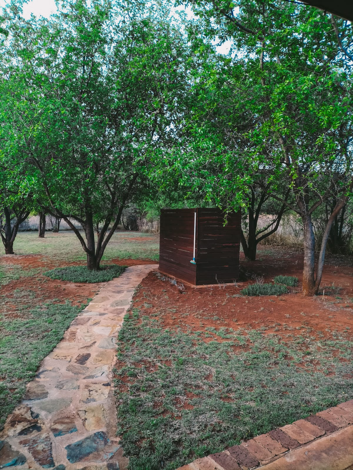 Star Gazer @ Evergreen River Guest Farm, Groot Marico