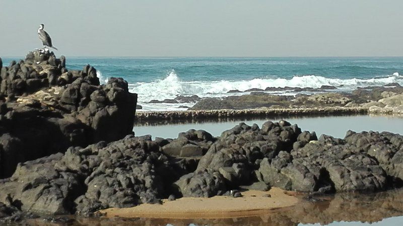 Evergreen Salt Rock Ballito Kwazulu Natal South Africa Beach, Nature, Sand, Cliff, Wave, Waters, Ocean