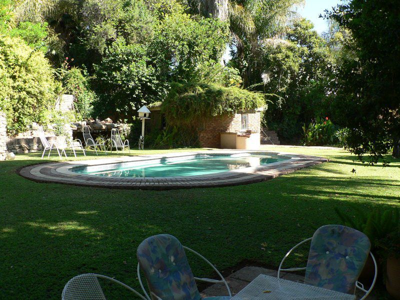 Evergreen Upington Northern Cape South Africa Palm Tree, Plant, Nature, Wood, Garden, Swimming Pool