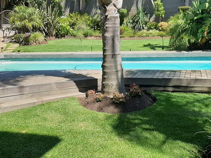 Eversview Guesthouse Eversdal Cape Town Western Cape South Africa Palm Tree, Plant, Nature, Wood, Garden, Swimming Pool