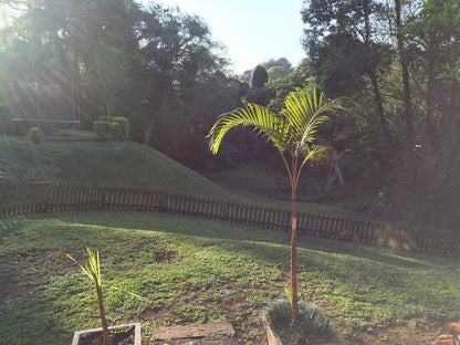 Everton Garden Cottage Everton Durban Kwazulu Natal South Africa Unsaturated, Palm Tree, Plant, Nature, Wood, Garden