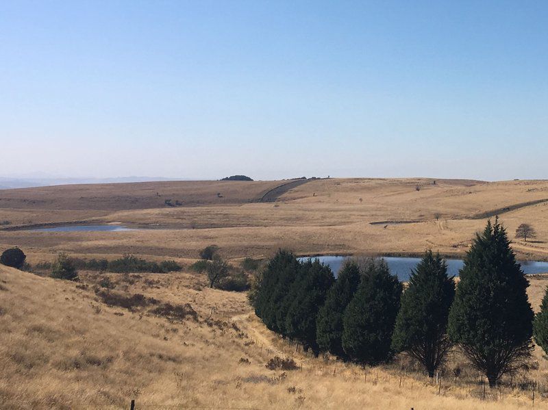 Everwood Estates Dargle Howick Kwazulu Natal South Africa Complementary Colors, Lowland, Nature