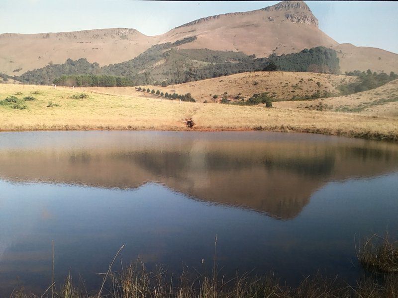 Everwood Estates Dargle Howick Kwazulu Natal South Africa Nature