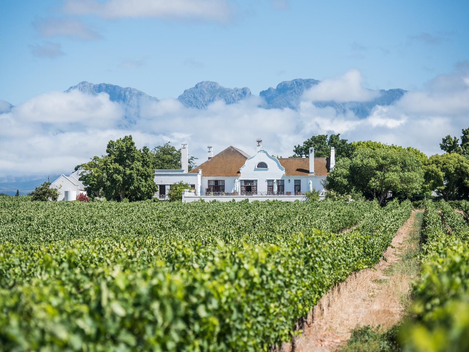 Excelsior Manor Guesthouse Robertson Western Cape South Africa Complementary Colors, Field, Nature, Agriculture, House, Building, Architecture, Food