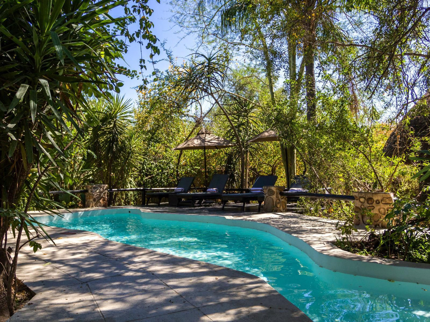 Ezulwini Game Lodges, Garden, Nature, Plant, Swimming Pool