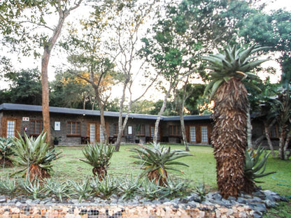 Ezulwini Game Lodge Hluhluwe Kwazulu Natal South Africa House, Building, Architecture, Palm Tree, Plant, Nature, Wood