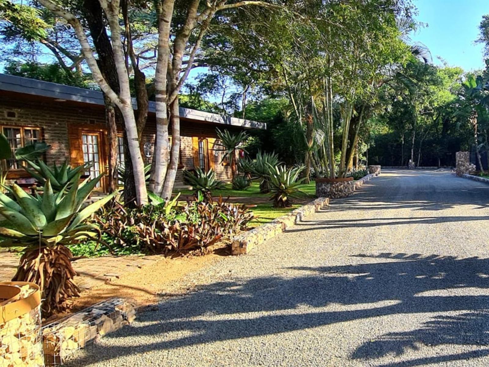 Ezulwini Game Lodge Hluhluwe Kwazulu Natal South Africa House, Building, Architecture, Palm Tree, Plant, Nature, Wood, Garden