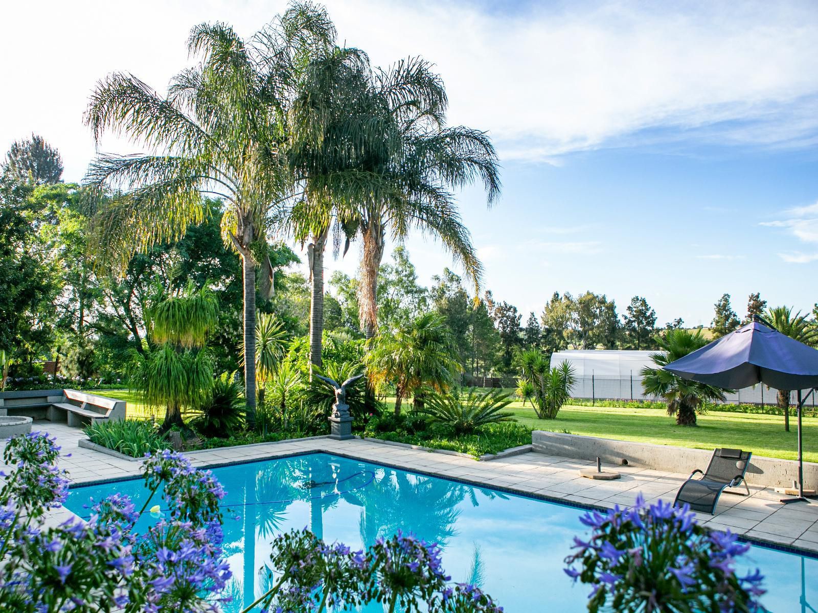 Fair Glen Glenferness Johannesburg Gauteng South Africa Palm Tree, Plant, Nature, Wood, Garden, Swimming Pool