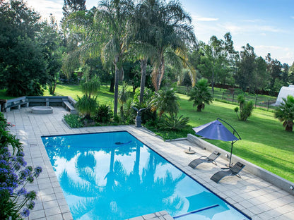 Fair Glen Glenferness Johannesburg Gauteng South Africa Palm Tree, Plant, Nature, Wood, Garden, Swimming Pool