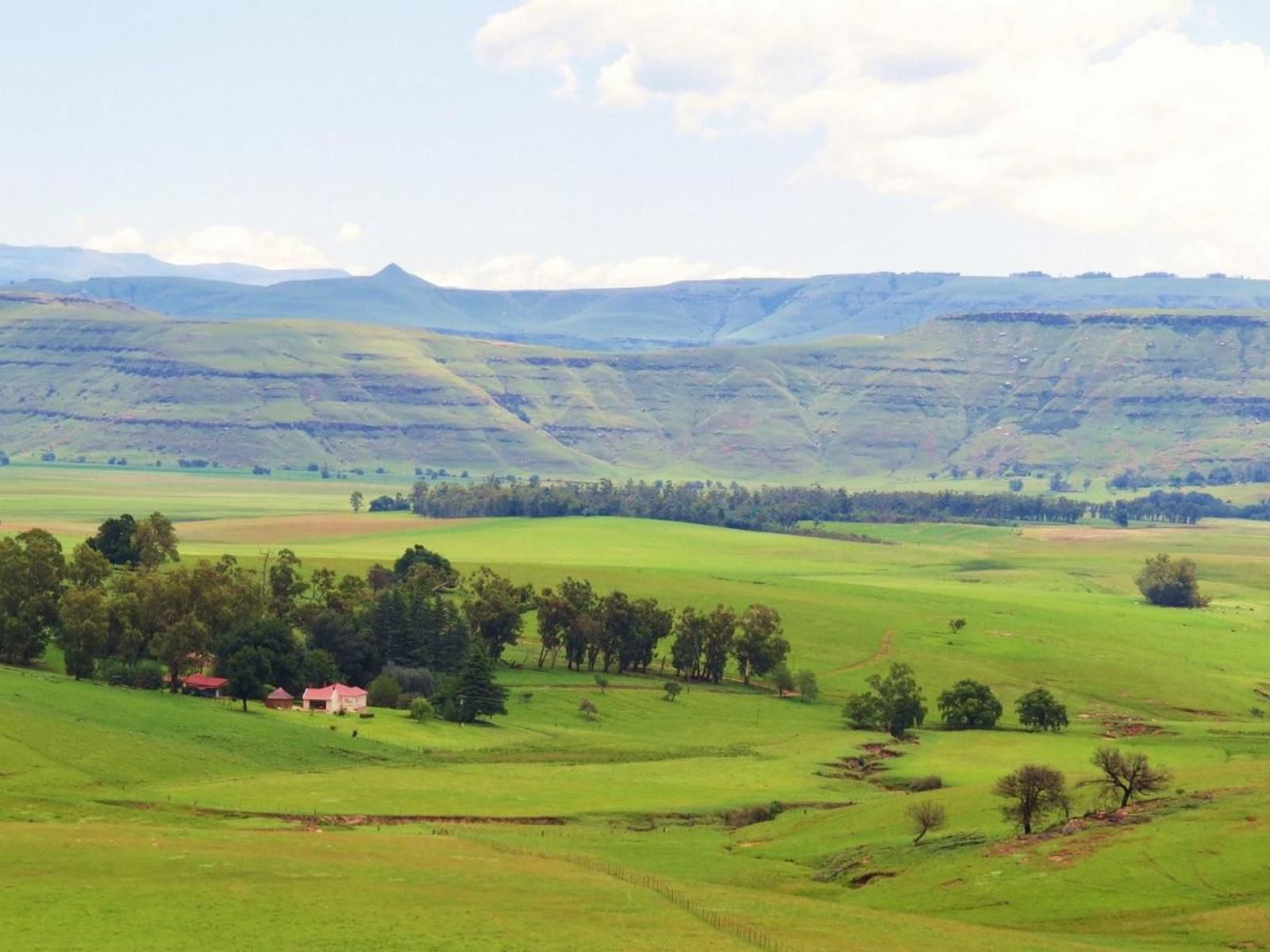 Fairbairn Guest Farm Maclear Eastern Cape South Africa Highland, Nature