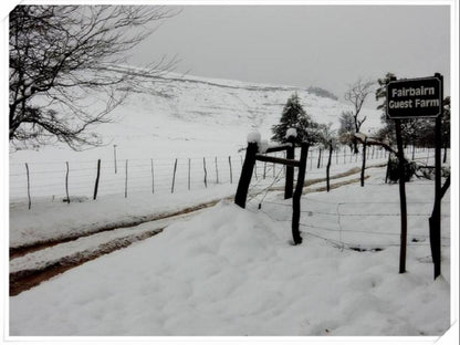 Fairbairn Guest Farm Maclear Eastern Cape South Africa Colorless, Nature, Snow, Winter