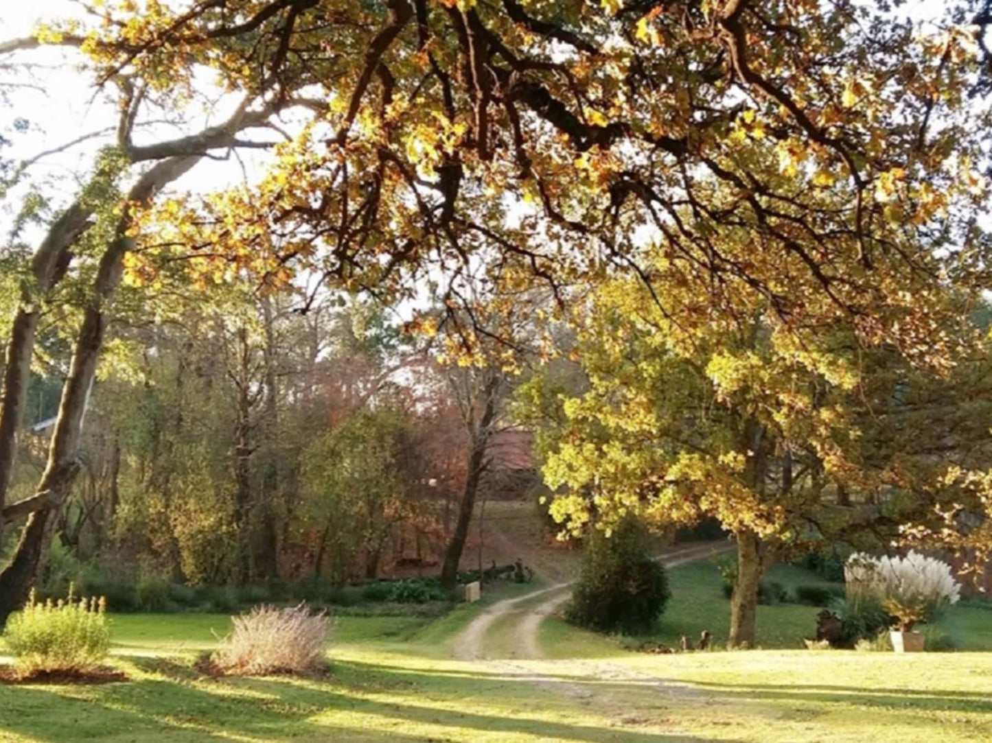 Fairbairn Guest Farm Maclear Eastern Cape South Africa Plant, Nature, Tree, Wood, Autumn, Garden