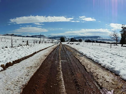 Fairbairn Guest Farm Maclear Eastern Cape South Africa Field, Nature, Agriculture, Railroad, Leading Lines