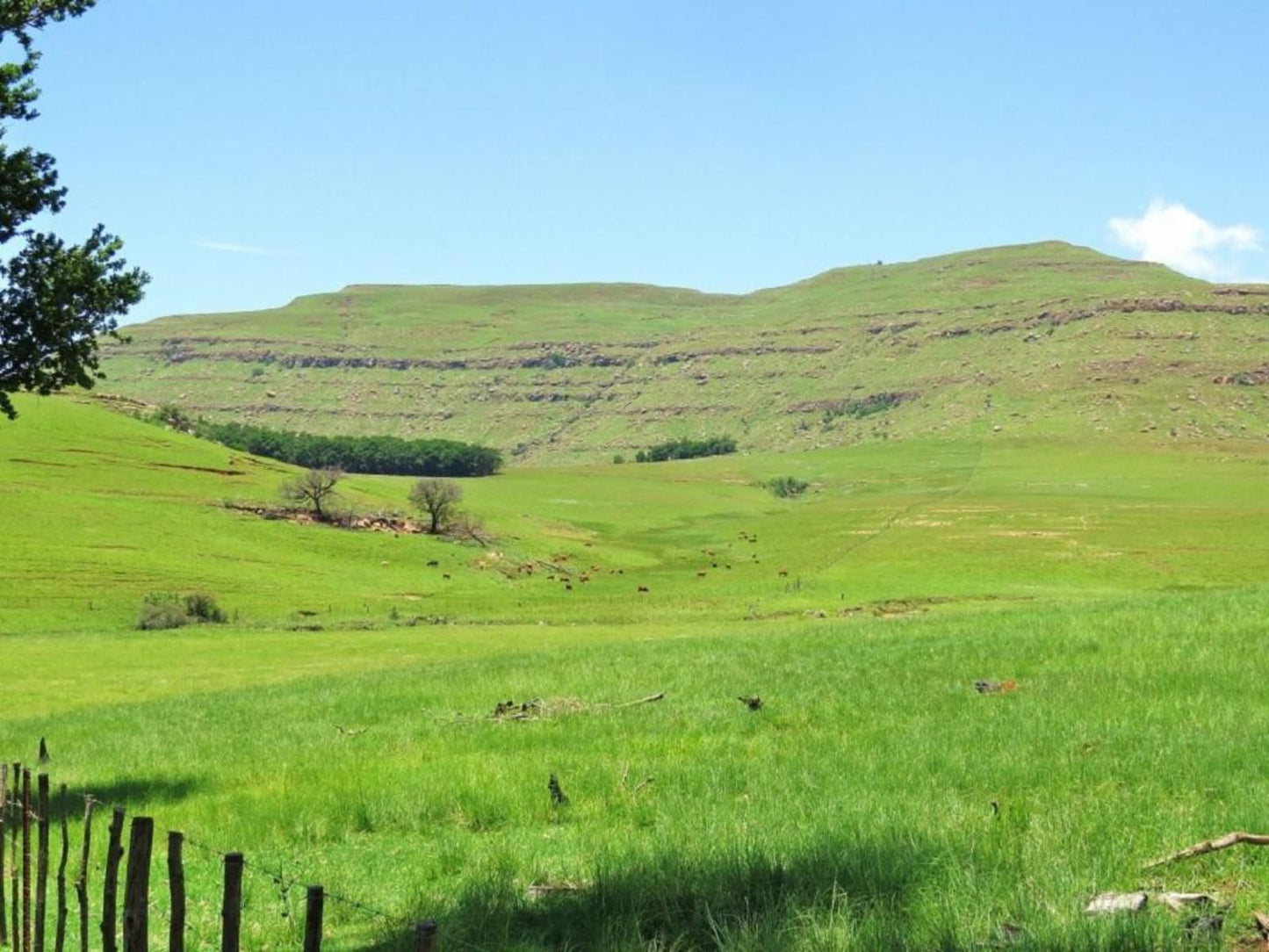 Fairbairn Guest Farm Maclear Eastern Cape South Africa Complementary Colors, Colorful, Highland, Nature