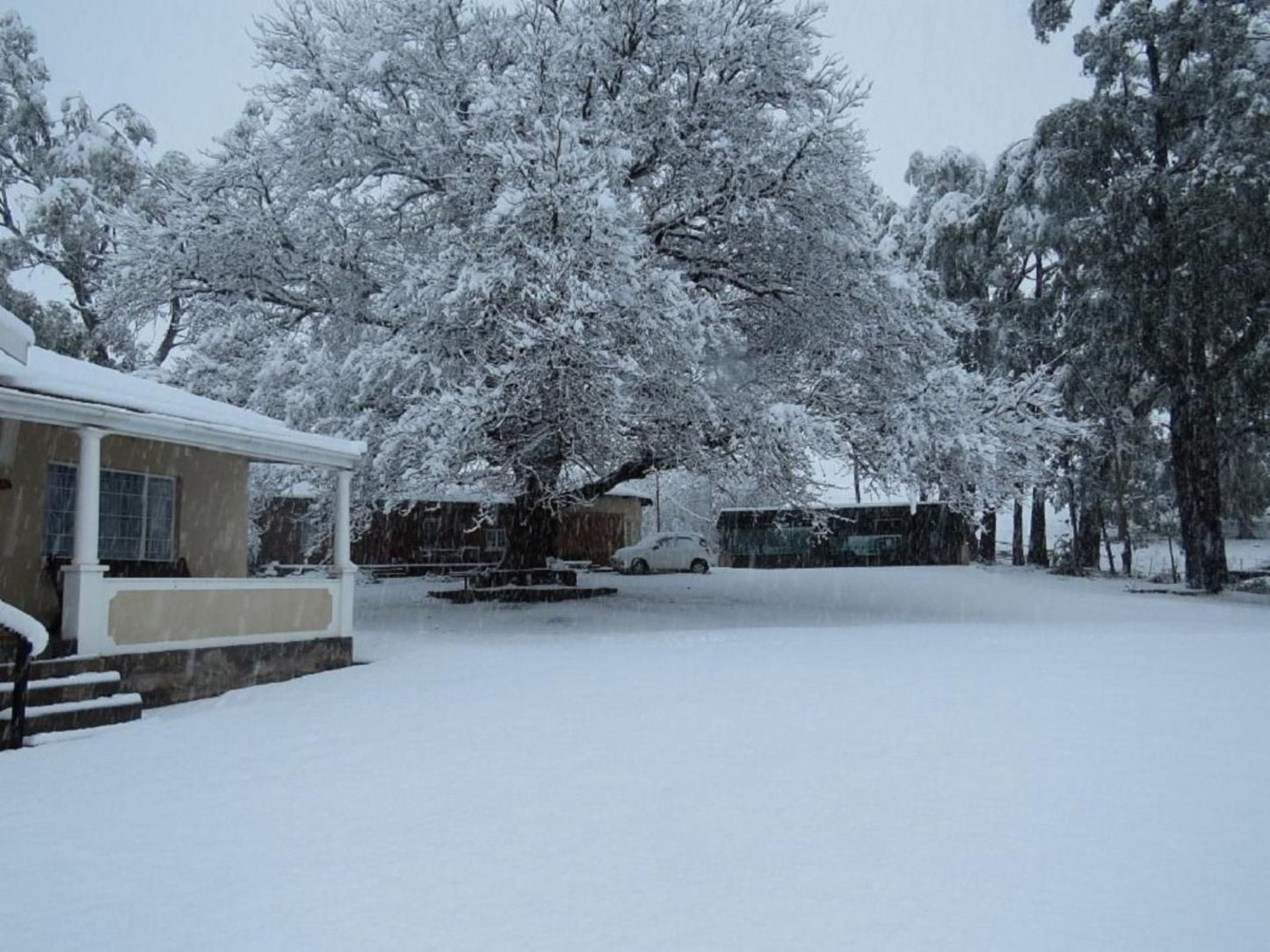 Fairbairn Guest Farm Maclear Eastern Cape South Africa Infrared, Nature