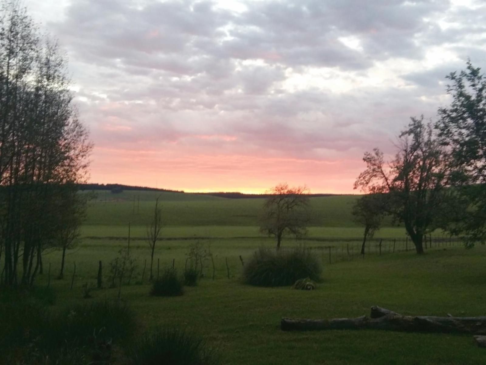 Fairbairn Guest Farm Maclear Eastern Cape South Africa Sky, Nature, Lowland, Sunset